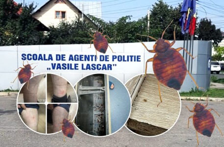 Școala de poliție din Câmpina cheltuie un milion de euro pentru a scăpa de ...