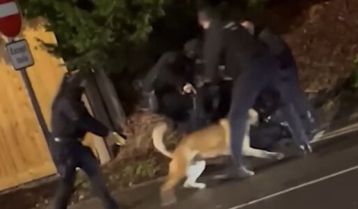 „Le-a cerut polițiștilor să-l omoare” Un român a filmat arestarea ...