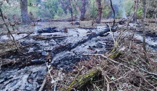 Ambasada Rusiei în România reacționează la acuzațiile MAE: Drona a fost ...