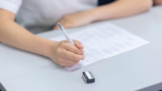 Un elev eliminat la Bac a arătat judecătorului dispozitivul găsit asupra ...