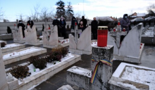 Un bărbat dintr-un sat din Giurgiu i-a spus soției că merge să moară și ...