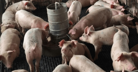 O adolescentă de 17 ani, bătută și violată de angajatul tatălui său, a ...