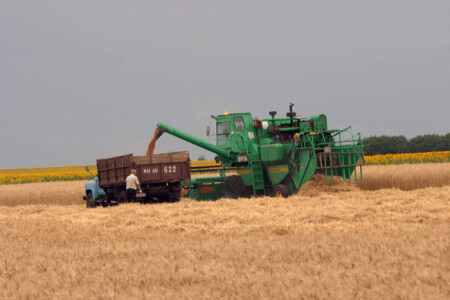 China intră în forță pe piața cerealelor ucrainene.Contract masiv pentru ...