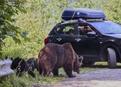 Pericolul de pe Transfăgărășan e ignorat de șoferi » GSP publică apelul ...