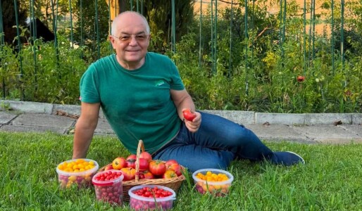Imagini din grădina lui Emil Boc. Primarul din Cluj a cules primele roșii ...