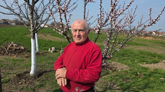 Român întors acasă după 25 de ani în Germania: „Și urzica e mai faină aici ...