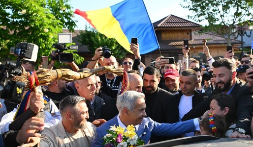 Steag cu simbolul Mișcării Legionare la un miting pro-Călin Georgescu. ...