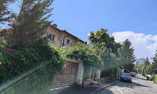 Cum arată vilele de lux închiriate de RAAPPS la 900 de euro pe lună, în ...